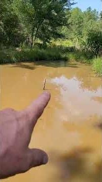 pocket and the pond. the fish came up a few minutes later my pigs and stuff