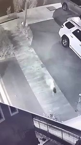 15K views · 133 reactions | En los últimos días se hizo viral el...