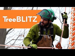 Best Arborist Rigging Rope | Right Rope TreeBLITZ