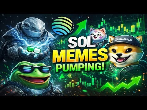 Solana Meme Coins: The Only Thing Pumping in the Bear?