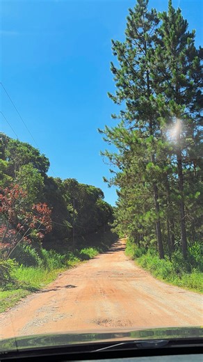 Sarah Aline on Instagram: "Ainda falando sobre metas para 2026, o que eu desejo para todo mundo é que a gente pare de se culpar tanto pelos nossos erros. Isso não é sobre fugir da responsabilidade, é ir além dela. É sobre entender que todo erro carrega uma história, um contexto, uma tentativa, um sentimento. Quando a gente só se pune, sem se escutar, a dor vira regra. E quando a dor vira regra, a gente para de sentir com verdade. Que você aprenda a olhar para os próprios erros com mais sentiment