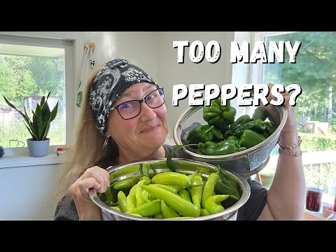 Pressure Canning Unstuffed Pepper Soup