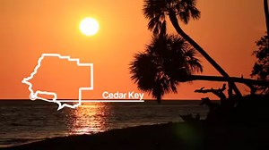 32K views · 403 reactions | Enjoy 30 seconds of Old Florida charm in Cedar Key. #LoveFL | VISIT FLORIDA | Facebook