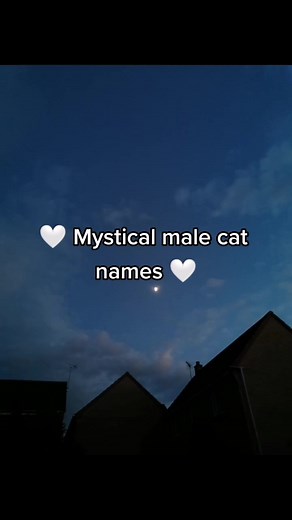 Unique and Mystical Male Cat Names for Your Feline Friend