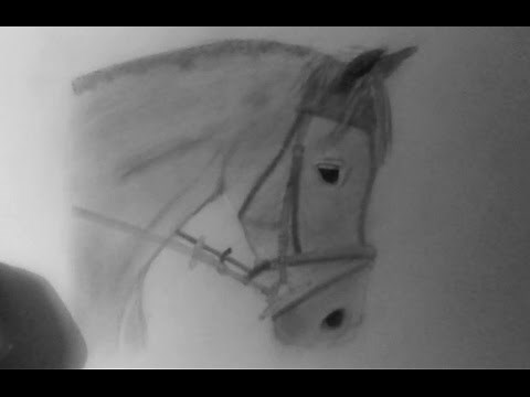 Comment dessiner un Cheval [Tutoriel]