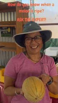 Stop Guessing! How to know your melon is ripe.