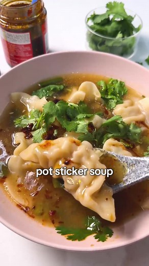 Quick Pot Sticker Soup Recipe in 30 Minutes