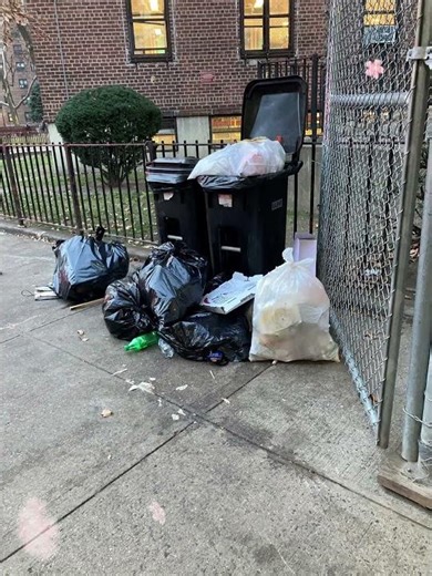 How Rodent Problems Start in Food Facilities