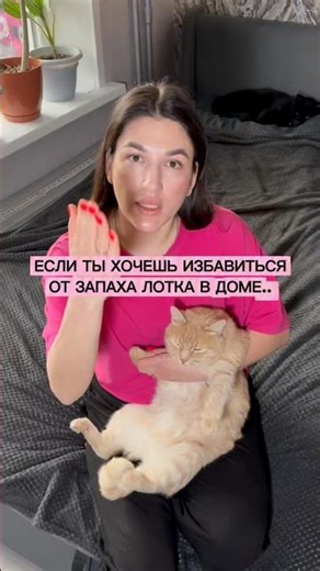 If you want to get rid of litter box odor in your house, watch this video to the end✔️ #WW315667
