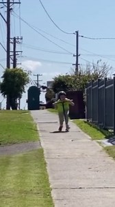 Funny and Adorable Exotic Pets You’ll Love to Watch