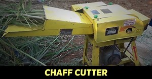 KisanKraft chaff cutter is one of the effective machines used for cutting fodder like straw or hay into small pieces for mixing together with forage. Visit for more details: https://bit.ly/351m58B #ChaffCutter #DairyFarming #Agriculture #FarmMachinery #KisanKraft | KisanKraft