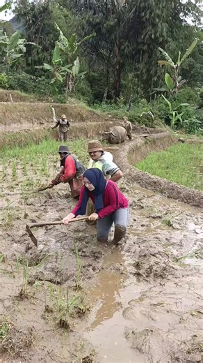 Ikutan Nyangkul Jam 5 Pagi - Tips dan Cerita Singkat