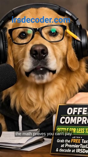 Offer in Compromise in 30 Seconds