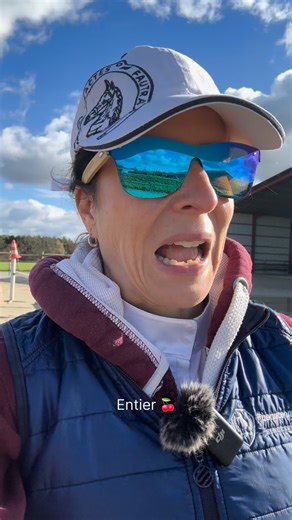 28K views · 3.3K reactions | Ce que pensent le chevaux  Entier  en CSO  #cheval #equitation #jumping | PonyCorn le blog | Facebook