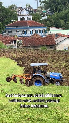 Budidaya Cabai Rawit: Tips & Trik