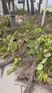 Help me FELDMAN! Who did that? Why? N Surf Rd and Elm St . We were hoping Josh Levy, Mayor of Hollywood, FL saw this and reported. To remind you all City of Hollywood works only Monday-Thursday and 95% of city employees don’t live here !!! So, who cares? WE DO! | Hollywood Beach TV