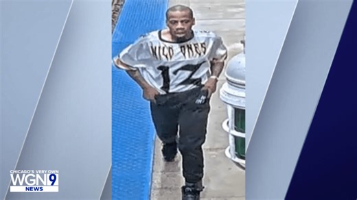 Armed robbery reported on CTA Orange Line train on Chicago’s Southwest Side