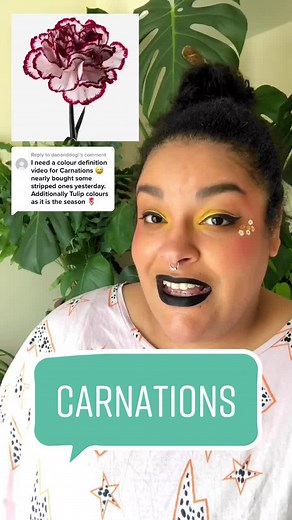 The Meaning Behind Carnations: Symbolism and Colors Explained