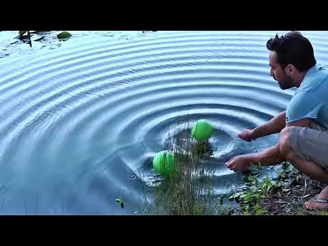 Giao thoa sóng nước - Water wave interference experiment