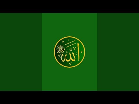 Beautiful Quran Recitation with Tajweed | Word by Word Urdu Translation |272-274
