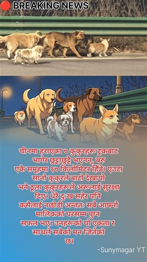 ७ कुकुरको अद्भुत एकता 🐶 17KM हिँडेर घर फर्किए ❤️