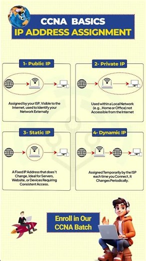 IP Address Assignment