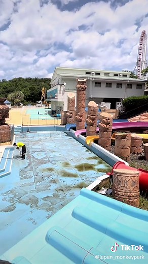 愛知県モンキーパーク：楽しい遊園地とプールが魅力！