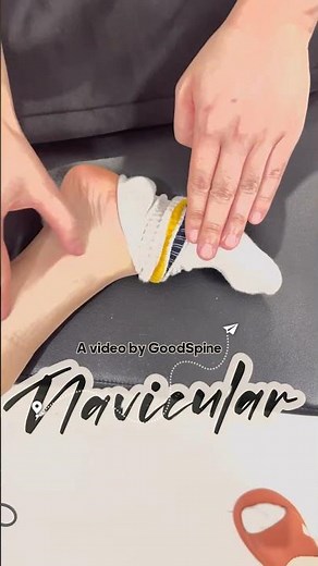 Navicular Bone. chiropractic