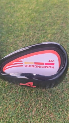 Hummingbird 70 Degree H7 Wedge