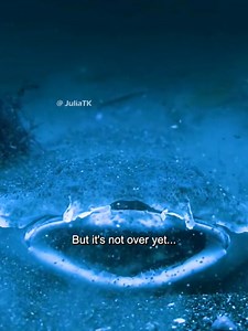 107K views · 1.1K reactions | The end documentary is unbelievable 梁 | Mammals TV | Facebook