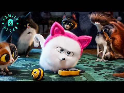 The Pets Go on a Mission to Rescue the Tiger | The Secret Life of Pets 2