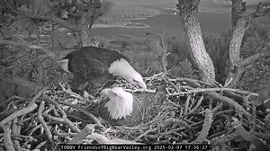 522K views · 10K reactions | “But it’s still my turn”… All day...