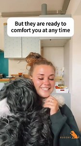 Senior rescues actually saved us in many ways #seniordog #dogoftheday #ılovemydog #dogmom #dogphotography #dogvideos #olddog #seniordogsofinstagram #heartbreak #sadday #childhooddog #dogparents #dogsarefamily #imissmydog #rescuedog | Senior Budday