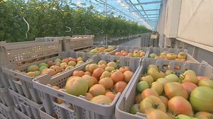 Premier pas vers une plus grande autonomie alimentaire au Québec