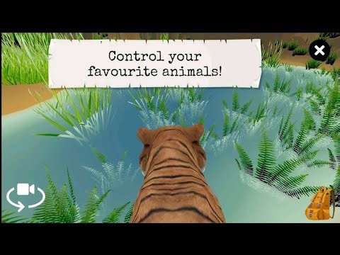 Wild Animals in VR 😲🦁