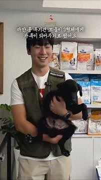 We've decided to become a family to these three little black bean rescue puppies until they get a...