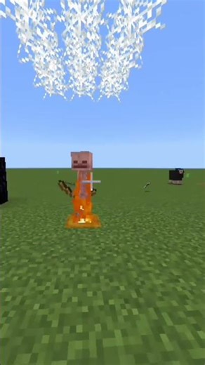 Tips You don't know in Minecraft pe