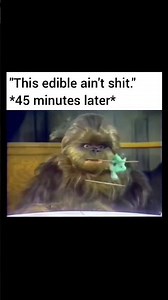 😆😆😆