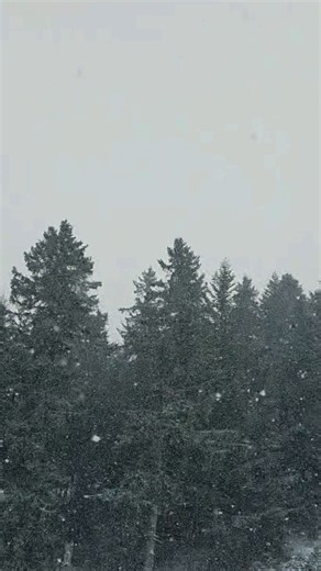 Dnes to vyšlo dokonale ❄️☀️ Nádherne snežilo, zasnežovanie ide naplno a ešte sa ukázalo aj slniečko. Zima konečne ukazuje svoju tvár a koniec roka patrí skvelým dňom na kopci. 💥 Príď si ho užiť na Donovaly. | PARK SNOW Donovaly