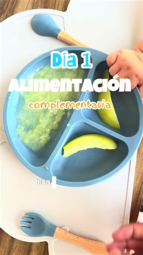 RECAP DÍA 1 para todas las nuevas ♥️♥️ #alimentacioncomplementaria #bebestiktoks #bebe #bebes #blw