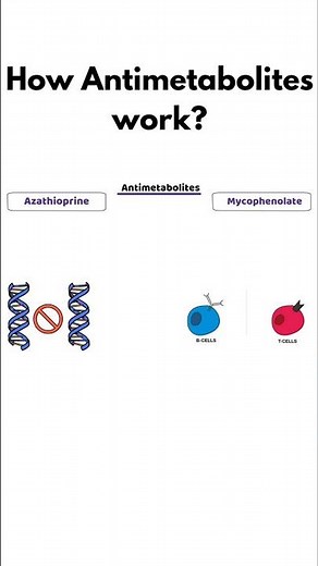 Antimetabolites mechanism of action & side effects | Azathioprine & Mycophenolate