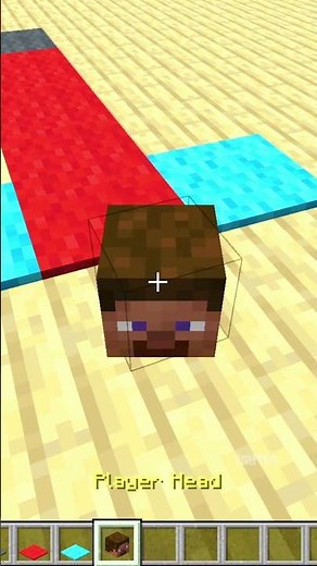 Whose Dead Body in Minecraft? 😱💀