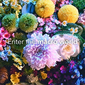 Stunning, dreamy and customisable 🌷 Direct your focus with 4,779 selectable AF positions and customisable focus bracketing on our all-new EOS RP! (R)eimagine Your Potential with the incredibly lightweight full-frame mirrorless EOS RP now: http://bit.ly/EOSRPBundles | Canon Singapore