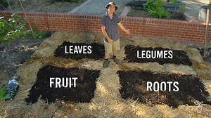 Crop Rotation - Gardening Australia