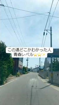 この道どこかわかった人青森レベル⭐️⭐️✨ #青森 #青森県 #ドライブ #クイズ #田舎の風景