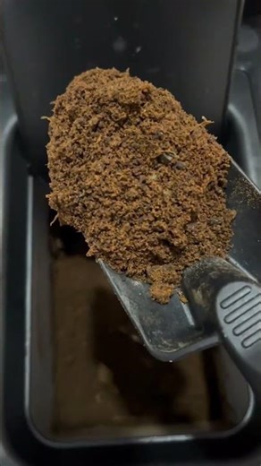 Kitchen Waste to Veggie Harvest | GEME Composter in Action