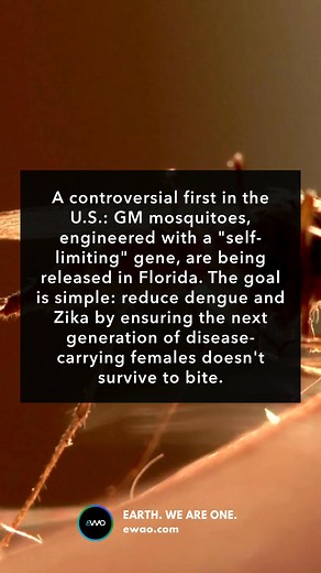 7.2K views · 117 reactions | Innovation meets controversy: GM...