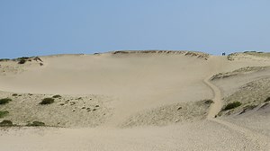 Epic dunes and a quaking bog: Where to hike in Provincetown