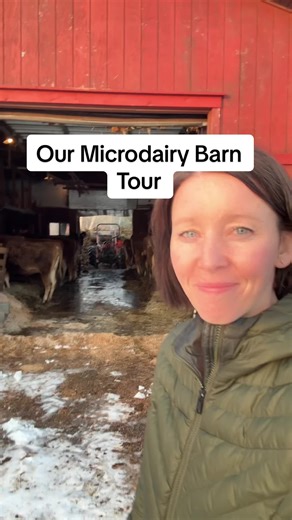 Come take a look in our low-budget, yet functional Microdairy barn, where we milk 12 cows on our small dairy farm. What questions do you have? ⬇️ #dairyfarm #dairyfarmer #microdairy #farmbusiness