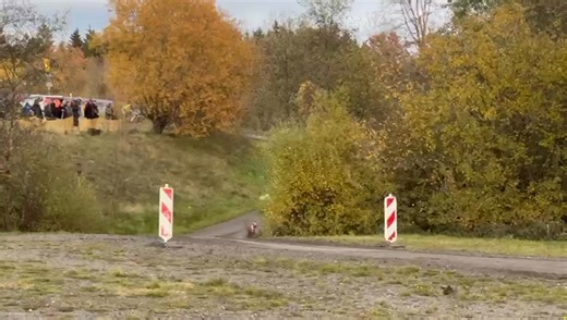 It's rallye-time ☆ Wer ist von Euch live dabei? #rallye #koelnahrweiler #Nuerburgring #rent2driveracing #eifel Rallye Köln-Ahrweiler | rent2Drive-racing